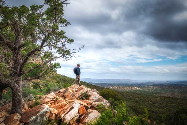 insert alternative description here